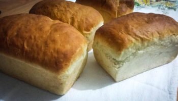 Pão Sem Glúten de Liquidificador: Receita Fácil, Macia e Perfeita para o Dia a Dia